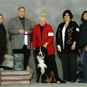 Best of Breed - New Champion